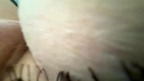 kizzzaa online show from July 15, 5:47 am