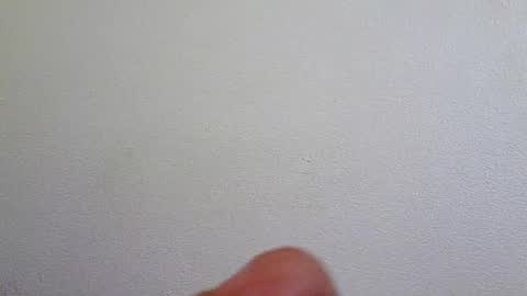 l0cean online show from July 22, 2:47 am