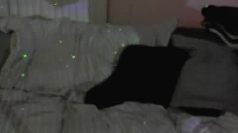 A online show from May 8, 11:32 am