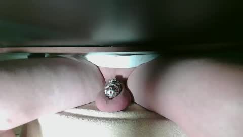 lockedshrimpy online show from April 23, 8:08 am