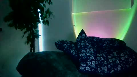 luisjg24hrs online show from May 18, 8:42 am
