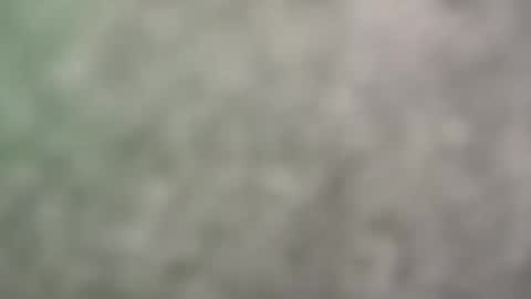 Harrison online show from May 17, 7:21 pm