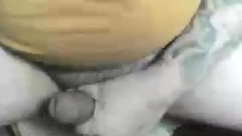 max_gv online show from July 17, 1:46 am