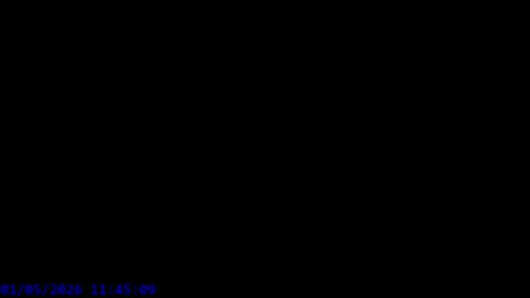 Maxel F online show from May 1, 9:45 am