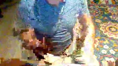 miamiwrestler online show from May 2, 2:58 am