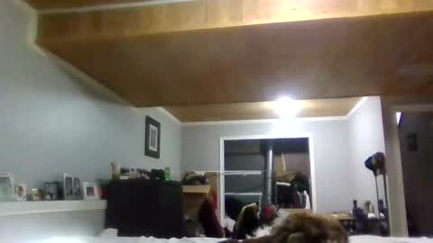 mr_a420 online show from June 11, 6:33 am