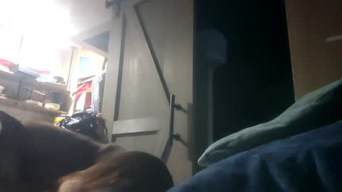 mr_morningstar441 online show from July 18, 7:58 am