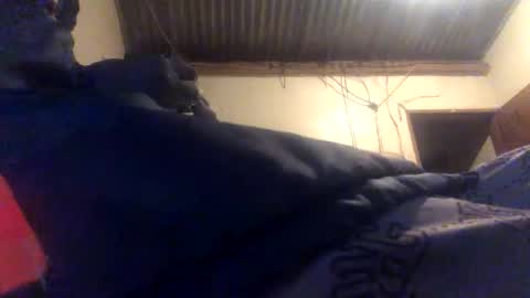 niles98 online show from March 23, 10:48 pm