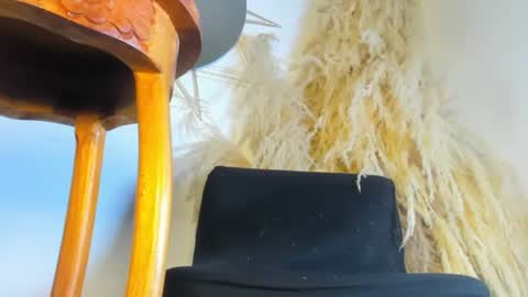 noah brookss online show from July 28, 2:13 pm