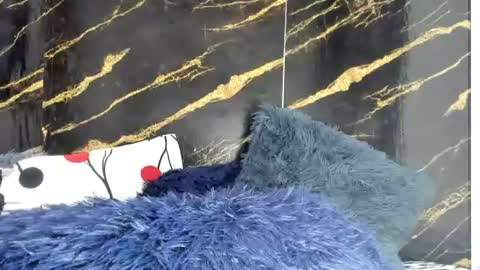 obregon_boyx18 online show from June 30, 11:06 pm