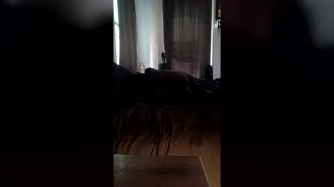 okillplay online show from July 19, 2:56 pm