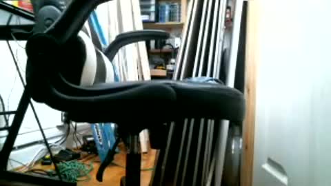 padrastroh online show from July 22, 3:04 pm