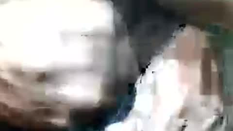 pappi_rambo online show from July 19, 4:46 pm