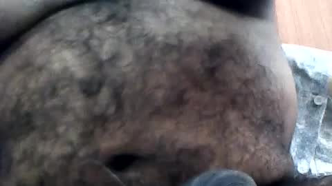 pappi_rambo online show from August 6, 9:04 am