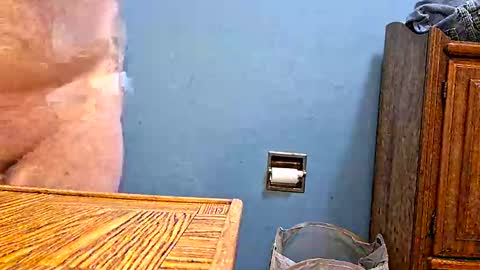 patrickl85 online show from May 14, 7:01 pm