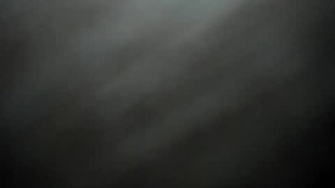PAUL online show from June 13, 1:20 pm