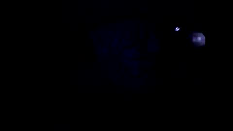 peterson1978 online show from June 4, 2:06 am