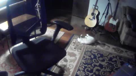 playerpleasure online show from August 2, 9:18 am