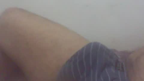pol2023 online show from August 1, 2:43 am