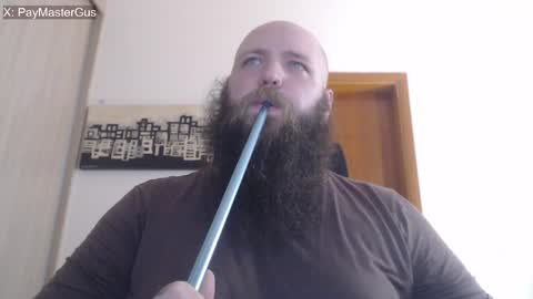 Bear online show from May 15, 1:52 pm