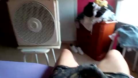 pollonyhuevosgordos online show from July 17, 5:14 am