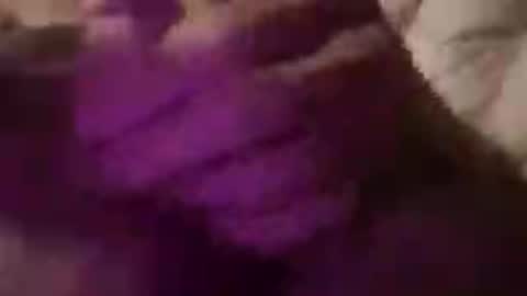 powderhound99 online show from July 15, 10:22 am