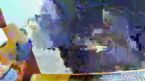 rb69er online show from May 5, 3:57 pm