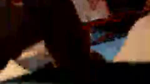 realybigdick21cm online show from July 2, 12:53 am