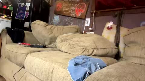 Lee online show from August 3, 1:37 am