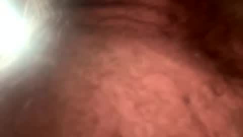 Lee online show from July 26, 10:56 am