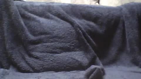 rp4funrp online show from August 6, 5:02 am