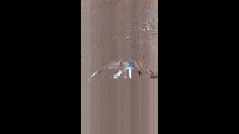 russelldrhyne online show from May 11, 4:58 am