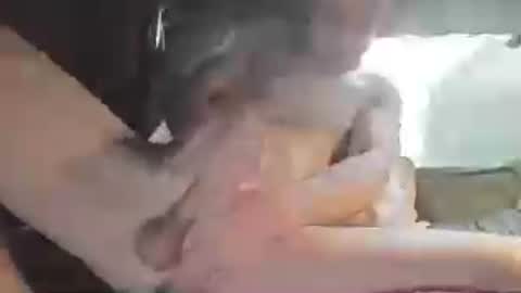 Steve Sexy throbbing hard big 10inch cock lots of Cum. online show from July 4, 1:08 am