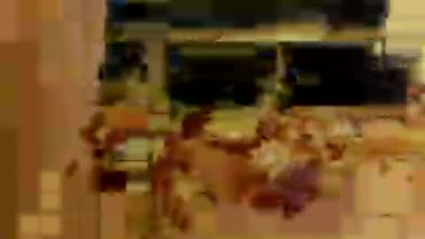 shedor85 online show from May 6, 2:34 am
