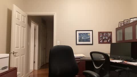 Chicago Guy online show from July 16, 3:13 am
