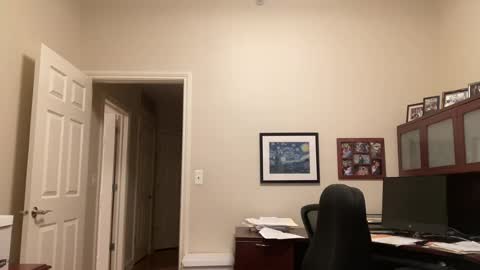Chicago Guy online show from July 18, 3:35 am