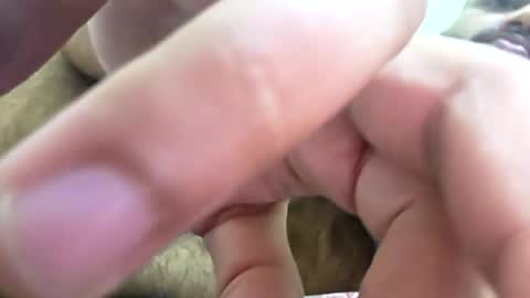 slothslav online show from July 11, 2:57 am