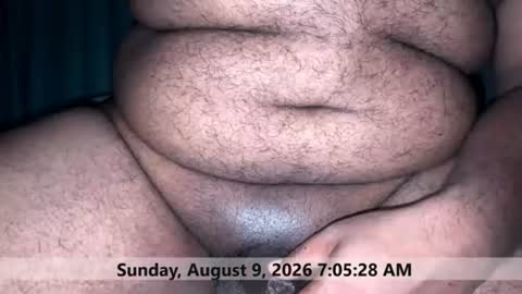 space Dog25 online show from August 9, 1:35 am