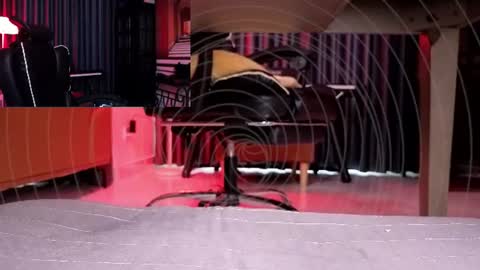 Shadow Master online show from August 5, 9:25 am