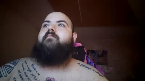 stallion_bear online show from July 8, 2:10 pm
