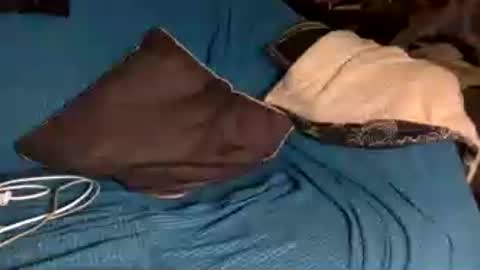 STEVE CASHMASTER 1comedia online show from June 15, 4:04 am