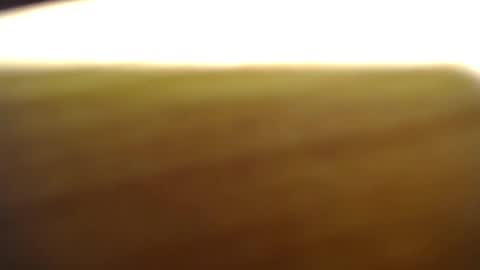 subswitchuser online show from May 1, 11:35 am