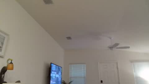 Dominick online show from July 6, 11:05 pm