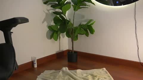 thin_tommy11 online show from May 2, 12:57 am
