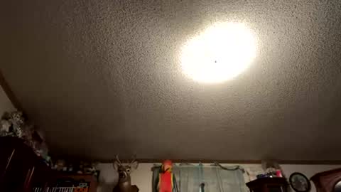 throbbing8585 online show from May 26, 5:36 am