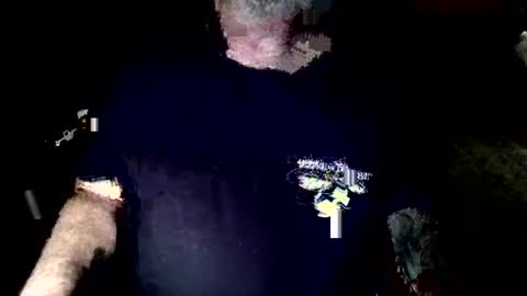 tigerman online show from May 21, 3:35 am