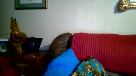 Vols online show from May 1, 2:04 am