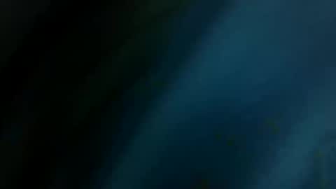 totallyawesome_65 online show from May 15, 2:03 pm