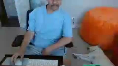exhib 4 u online show from July 30, 5:12 pm