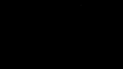 Dilly Dally online show from May 13, 1:13 am